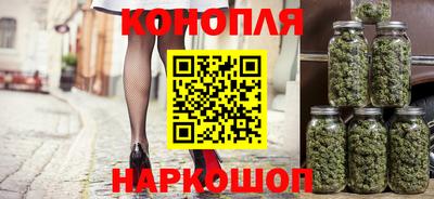 сатива Коммунар